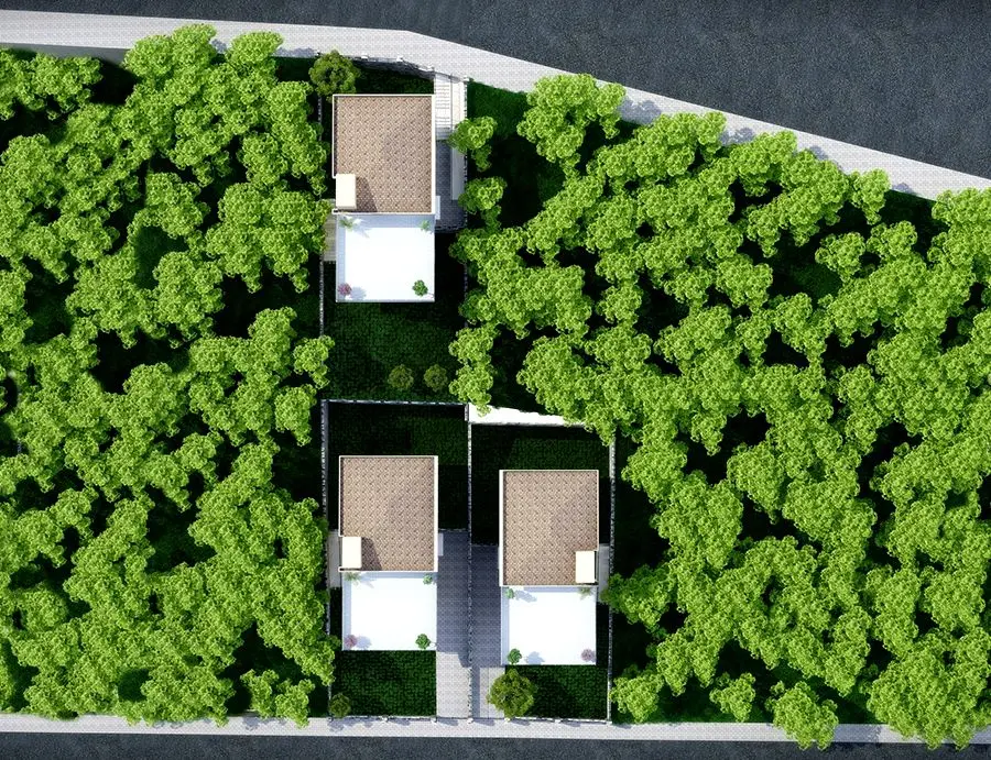 Ağaçlık alanda üç yapının yerleşimi, kuşbakışı vaziyet planı — 3D görselleştirme